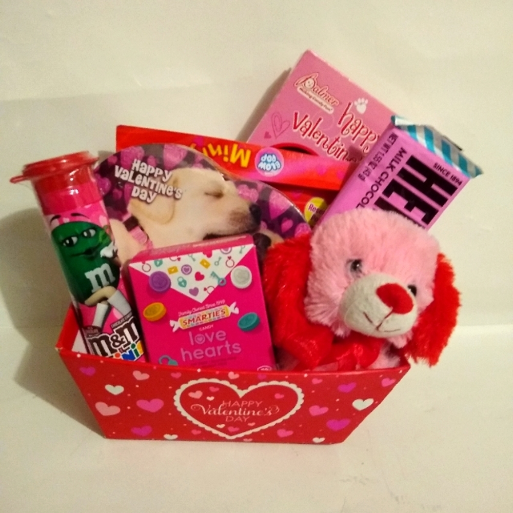 Girls Valentine's Small Gift Basket